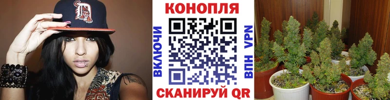 Шишки марихуана Bruce Banner  Аксай 